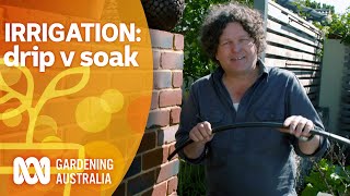 Irrigation essentials drip versus soak  Gardening 101  Gardening Australia [upl. by Ralston]