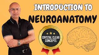 Intro to Neuroanatomy  Neurophysiology  Neuroscience  Central Nervous System [upl. by Bow]