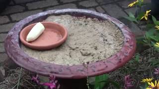 How to Make a Butterfly Puddling Station [upl. by Damali]