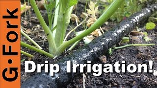 DIY Soaker Hose Drip Irrigation System  GardenFork [upl. by Llerrej]