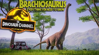 What Was The Brachiosaurus  The Dinosaur Channel [upl. by Onailerua]