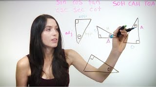 Basic Trigonometry Sin Cos Tan NancyPi [upl. by Acyre883]