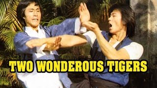 Wu Tang Collection  Two Wonderous Tigers [upl. by Foley]