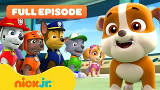 Rubble Joins the PAW Patrol and the Pups Save a Walrus  FULL EPISODES  Nick Jr [upl. by Billy]