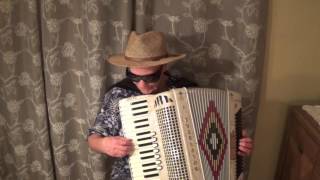 Best Accordion Music [upl. by Yenrab]