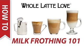 Milk Frothing for Beginners [upl. by Rhodie]