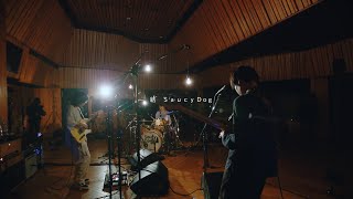 Saucy Dog「結」 Live Movie [upl. by Ibok847]