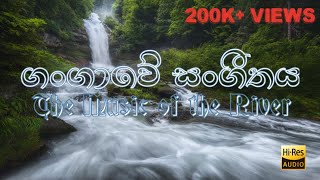 The music of the river  Gangaawe sangeethaya  HM Kudaligama [upl. by Humfried]