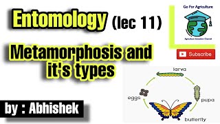 Metamorphosis in insects and its types  Entomology lec 11  Go For Agriculture [upl. by Odlawso]