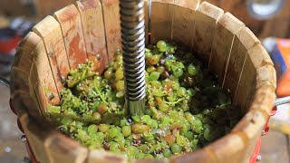 Making a White Wine from Grapes [upl. by Oringa]