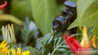 How To install A Drip Irrigation System [upl. by Dronski]