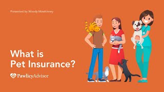 What Is Pet Insurance  Pawlicy Advisor [upl. by Yeslek]