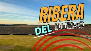 Ribera del Duero Villages and Wines [upl. by Eirolav]