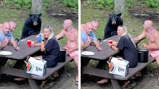 Family Enjoy Picnic With Wild Bear [upl. by Cressida]