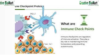 Immune Checkpoint Proteins [upl. by Armillas]