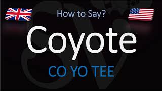 How to Pronounce Coyote  English American Pronunciation [upl. by Suirrad43]