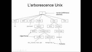 Larborescence des fichiers sous Linux [upl. by Nomahs]