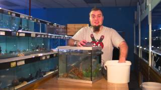 Fishkeeping Tips  How To Perform A Water Change On An Aquarium [upl. by Fabrienne222]