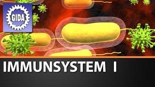 Trailer  Immunsystem I  Biologie  Schulfilm [upl. by Nodnal]