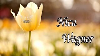 Nicu Wagner  Colaj cu cantari crestine noi [upl. by Letta827]