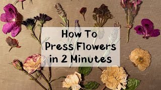 How to press flowers in 2 minutes in your microwave [upl. by Salvador822]