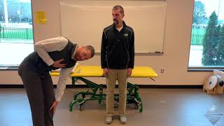 Lumbar Spine  Range of Motion Assessment [upl. by Keslie]