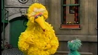 Sesame Street  Big Bird Helps Carlo amp Gina [upl. by Lipp]