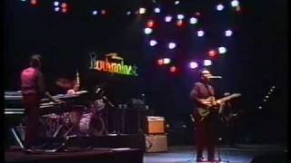 Elvis Costello Beyond Belief 1983 Rockpalast [upl. by Jakob]