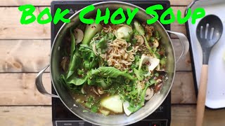 Ginger Garlic Noodle Soup with Bok Choy [upl. by Oiraved674]