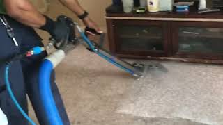 Carpet Steam Cleaning [upl. by Shornick490]