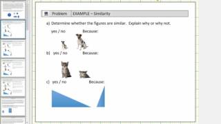 Introduction to Similarity [upl. by Trinatte696]