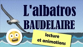 Lalbatros  poème de Charles Baudelaire  Lecture [upl. by Ausoj]