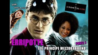 RIASSUNTO ACCURATISSIMO HARRY POTTER quotERRIPOTTE E IL PRINCIPE MEZZOBABBANOquot PT1 [upl. by Annay227]