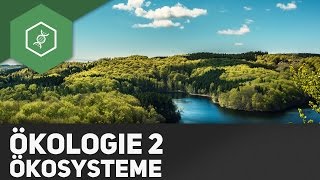 Ökosysteme  Ökologie 2 [upl. by Press]