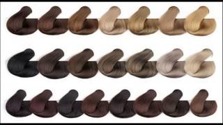 Know About Medium Ash Brown Hair Color Chart [upl. by Hoashis]