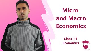 Micro and Macro Economics in Nepali  Class 11  Economics [upl. by Hoehne]