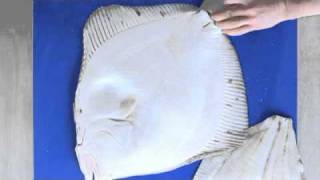 Filleting Turbot  Cross Cut Fillet [upl. by Aninaj]