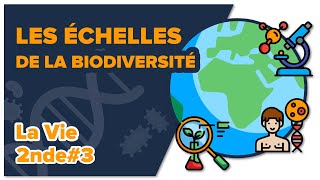 Les échelles de la biodiversité  SVT  LA VIE 2nde 3 Mathrix [upl. by Ledua]