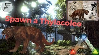 Ark Survival Evolved How to Spawn a Thylacoleo [upl. by Lada]