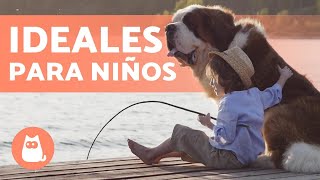 10 RAZAS de PERROS para NIÑOS 🐶👧🏼 ¡Descúbrelas [upl. by Taylor]