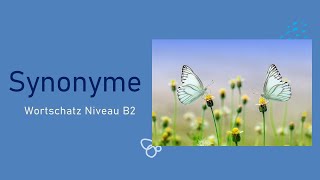 Synonyme Wortschatz Niveau B2 [upl. by Andrew]