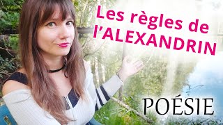 COURS DE POÉSIE  Les règles de lALEXANDRIN [upl. by Nirda]