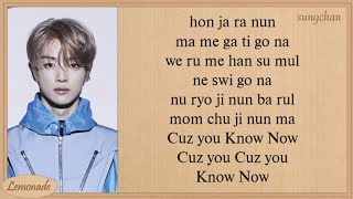 NCT U  Know Now Easy Lyrics [upl. by Hapte]