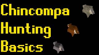 Basic Chinchompa Hunting Guide 2019 OSRS [upl. by Jerol186]