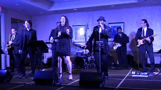 Best Wedding Band Heartbeat  LIVE Performance [upl. by Yrevi366]