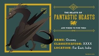 What Is An Occamy The Beasts Of Fantastic Beasts And Where To Find Them [upl. by Sioux620]