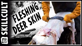 Fleshing Deer Hides for Tanning or Drying Natural Leather Tanning [upl. by Beetner835]