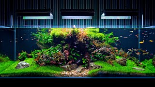 Aquarium Maintenance On Client Location  4K Cinematic  Green Aqua [upl. by Durning122]