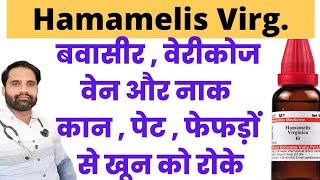 Hamamelis virginica 200 ch  Hamamelis 30 homeopathic medicine  Hamamelis q uses in hindi [upl. by Aryn]