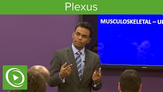 Plexus Structure amp Overview – MRCS  Lecturio [upl. by Anifesoj]